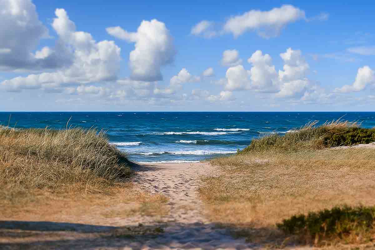 Sommarhälsning från stranden